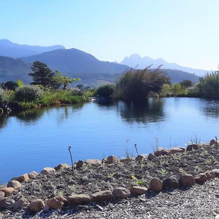 Gecko Cottage At Artemis Franschhoek Exterior photo
